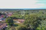 Zemljiste, Novigrad, prodaja, 160000 €, 536 m2