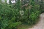 Zemljiste, Labin, prodaja, 116000 €, 2323 m2