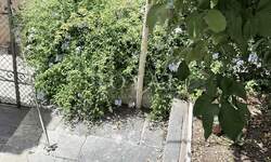 Kuca, Mali Lošinj, Veli Lošinj, prodaja, 600000 €, 360 m2
