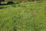 Zemljiste, Višnjan, prodaja, 260000 €, 1350 m2