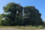 Zemljiste, Fažana, Valbandon, prodaja, 110000 €, 702 m2