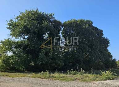 Zemljiste, Fažana, Valbandon, prodaja, 110000 €, 702 m2
