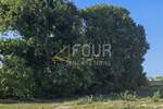 Zemljiste, Fažana, Valbandon, prodaja, 110000 €, 702 m2