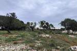 Zemljiste, Benkovac, Tinj, prodaja, 150000 €, 3596 m2