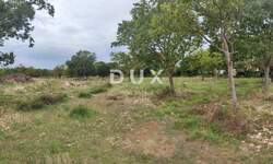 Zemljiste, Benkovac, Tinj, prodaja, 110000 €, 1800 m2