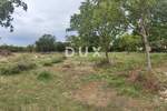 Zemljiste, Benkovac, Tinj, prodaja, 250000 €, 5396 m2