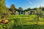 Zemljiste, Umag, Seget, prodaja, 78000 €, 3418 m2