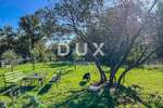 Zemljiste, Umag, Seget, prodaja, 78000 €, 3418 m2