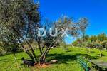 Zemljiste, Umag, Seget, prodaja, 78000 €, 3418 m2