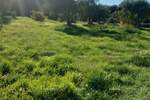 Kuca, Rovinj, prodaja, 600000 €, 130 m2