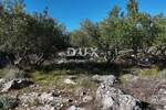 Zemljiste, Krk, prodaja, 161000 €, 8011 m2