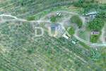 Zemljiste, Motovun, prodaja, 1955000 €, 167943 m2