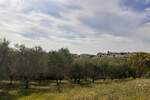 Zemljiste, Vižinada, prodaja, 86000 €, 635 m2