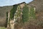 Kuca, Buzet, prodaja, 150000 €, 300 m2