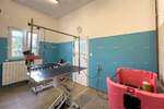 Poslovni prostor, Pula, prodaja, 400 €, 25 m2