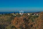 Zemljiste, Buje, Momjan, prodaja, 349000 €, 979 m2
