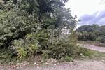 Zemljiste, Fažana, Valbandon, prodaja, 110000 €, 702 m2