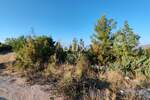 Zemljiste, Novigrad, Pridraga, prodaja, 25000 €, 400 m2