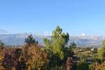 Zemljiste, Novigrad, Pridraga, prodaja, 25000 €, 400 m2