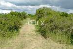 Zemljiste, Zadar, Bokanjac, prodaja, 122000 €, 1002 m2