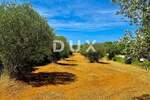 Zemljiste, Bale, prodaja, 47000 €, 3060 m2