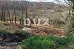 Zemljiste, Motovun, prodaja, 115000 €, 1984 m2