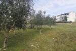 Zemljiste, Vodnjan, Barbariga, prodaja, 229000 €, 801 m2