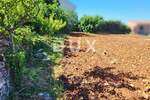 Zemljiste, Novigrad, prodaja, 199000 €, 1119 m2