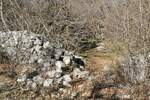 Zemljiste, Krk, Vrh, prodaja, 114000 €, 19970 m2