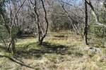 Zemljiste, Krk, Vrh, prodaja, 114000 €, 19970 m2