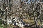 Zemljiste, Krk, Vrh, prodaja, 114000 €, 19970 m2