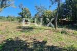 Zemljiste, Oprtalj, prodaja, 600000 €, 6046 m2