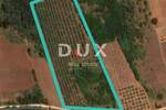 Zemljiste, Poreč, prodaja, 250000 €, 17136 m2