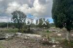 Zemljiste, Žminj, prodaja, 150000 €, 3583 m2