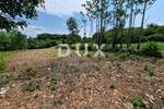 Zemljiste, Tinjan, prodaja, 382000 €, 5459 m2
