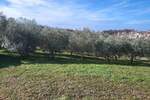Zemljiste, Vižinada, prodaja, 86000 €, 635 m2
