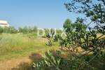 Zemljiste, Svetvinčenat, prodaja, 110000 €, 2200 m2