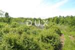 Zemljiste, Labin, prodaja, 175000 €, 44000 m2