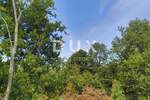 Zemljiste, Kaštelir-Labinci, Labinci, prodaja, 650000 €, 39000 m2
