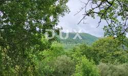 Zemljiste, Buzet, prodaja, 4 €, 120000 m2