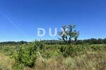 Zemljiste, Poreč, Baderna, prodaja, 167200 €, 53691 m2