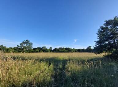 Zemljiste, Barban, prodaja, 39500 €, 5445 m2