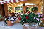 Poslovni prostor, Medulin, Banjole, prodaja, 675000 €, 190 m2