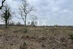 Zemljiste, Brtonigla, prodaja, 955200 €, 7960 m2