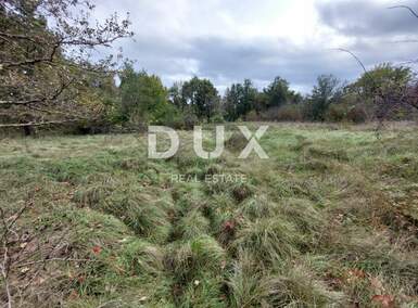 Zemljiste, Labin, prodaja, 375000 €, 12476 m2