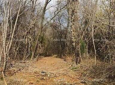 Zemljiste, Grožnjan, prodaja, 185000 €, 0 m2