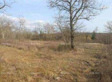 Zemljiste, Grožnjan, prodaja, 85000 €, 0 m2