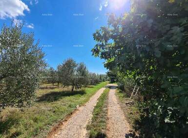 Zemljiste, Pula, prodaja, 220000 €, 0 m2