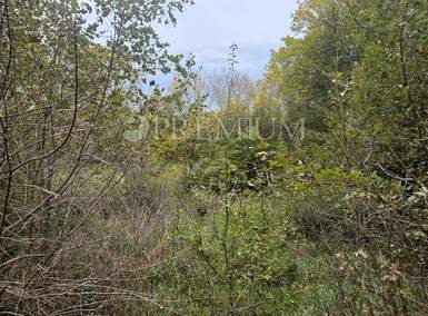 Zemljiste, Dobrinj, Soline, prodaja, 95000 €, 3640 m2