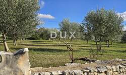 Zemljiste, Poreč, prodaja, 125000 €, 856 m2